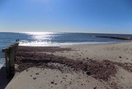 "The Pioneer" Cottage By the Sea - Old Lyme, Connecticut