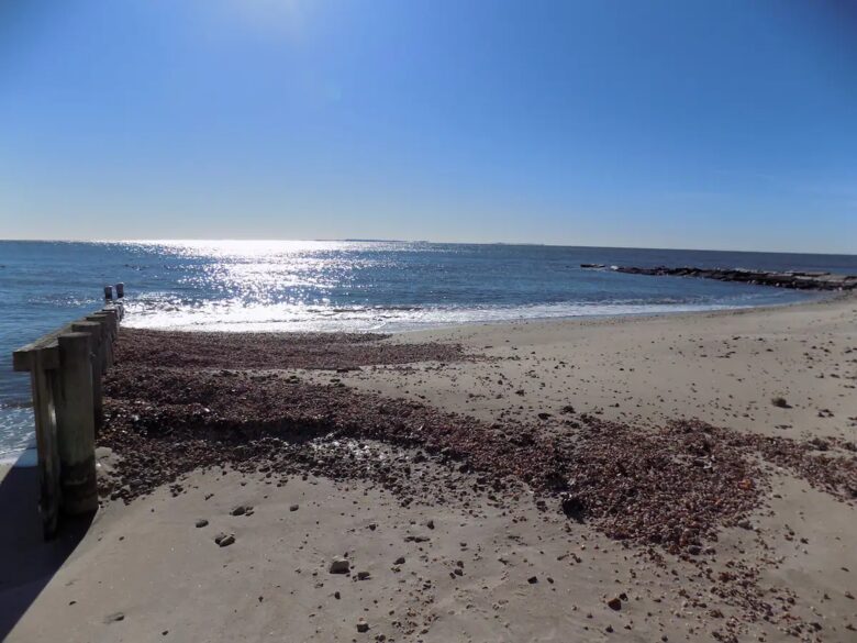 "The Pioneer" Cottage By the Sea - Old Lyme, Connecticut