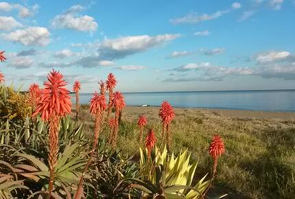 Penthouse on beachfront complex - Estepona, Spain