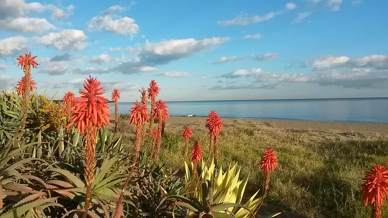 Penthouse on beachfront complex - Estepona, Spain