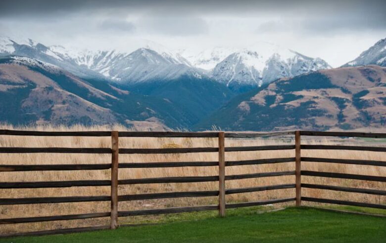 Views from the backyard