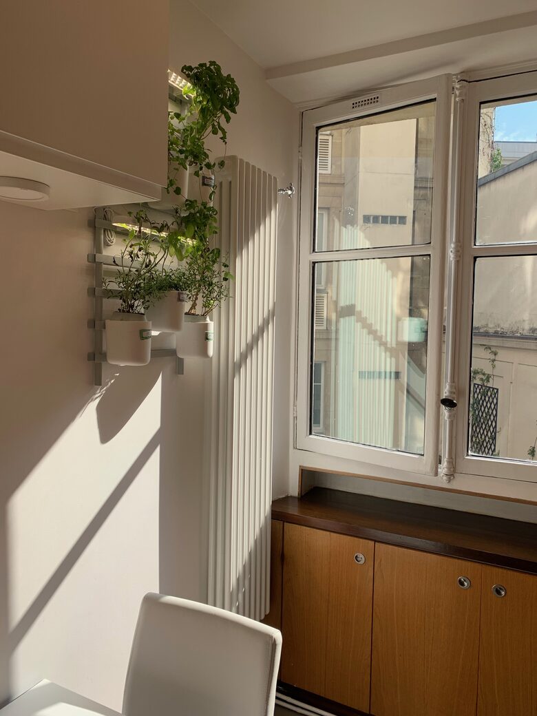 Elegant Matignon Flat - Paris, France