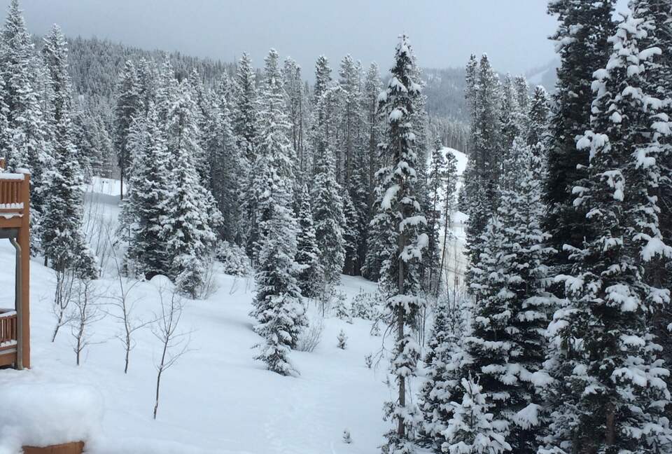 Breckenridge Forest Chalet - Breckenridge, Colorado