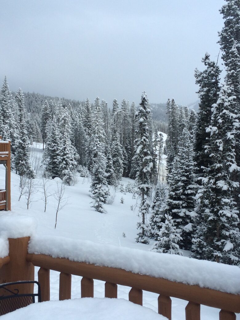 Breckenridge Forest Chalet - Breckenridge, Colorado