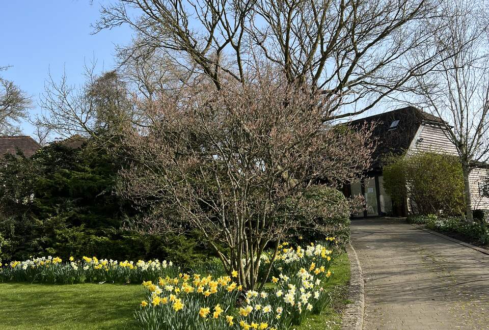 Countryside luxury, close Henley, Oxford,London - Near Henley on Thames, Oxfordshire, United Kingdom