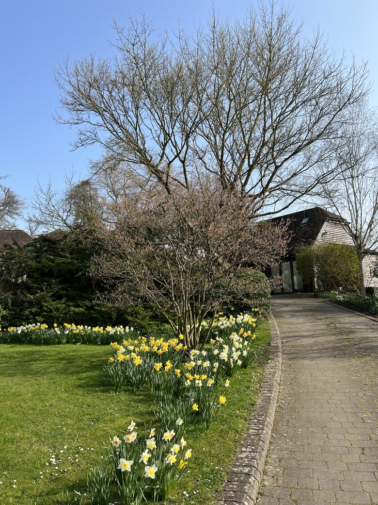 Countryside luxury, close Henley, Oxford,London - Near Henley on Thames, Oxfordshire, United Kingdom