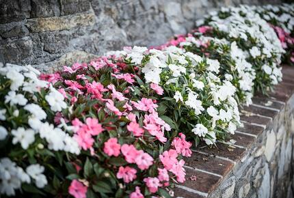 Al Bastini - Lucca, Italy