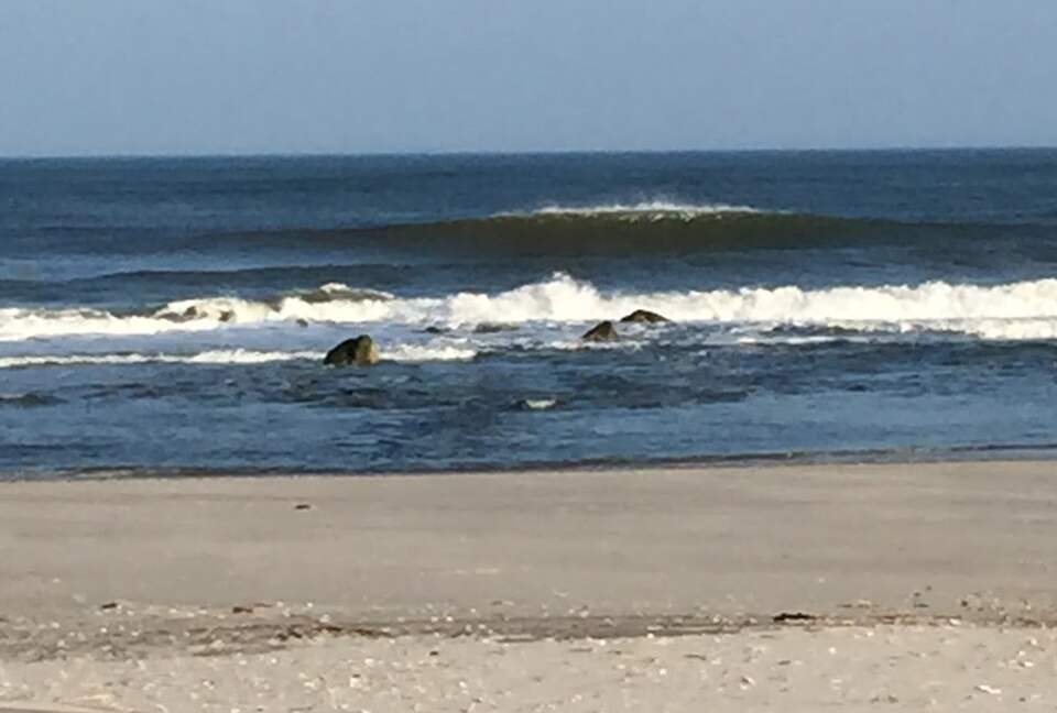 Home Exchange in Sea Isle City, NJ