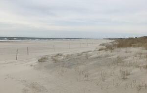 Home Exchange in Sea Isle City, NJ beach