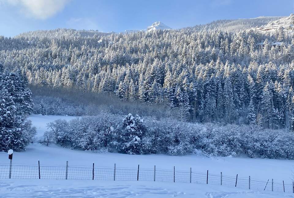 Home Exchange in Ridgway, Colorado