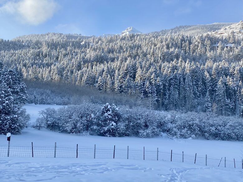 Home Exchange in Ridgway, Colorado