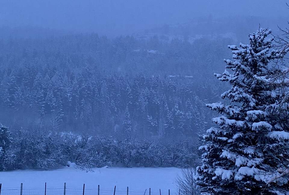 Home Exchange in Ridgway, Colorado