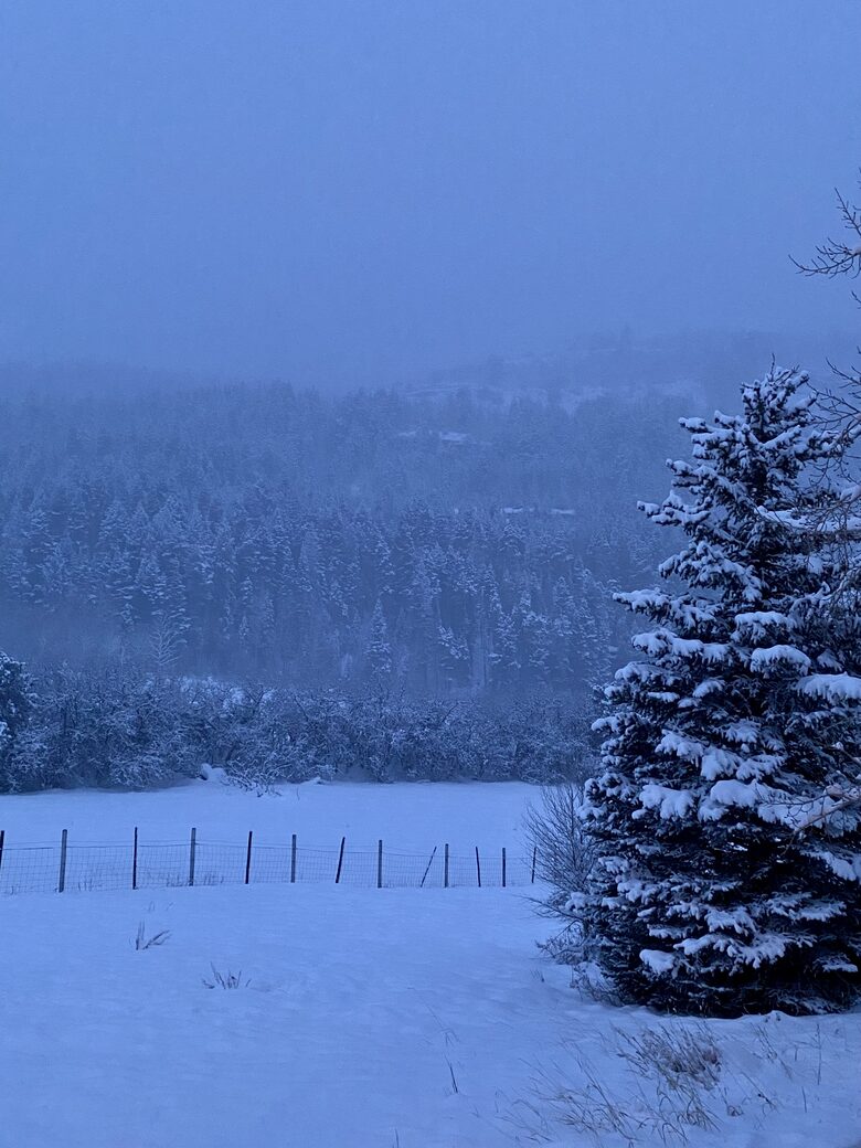 Home Exchange in Ridgway, Colorado