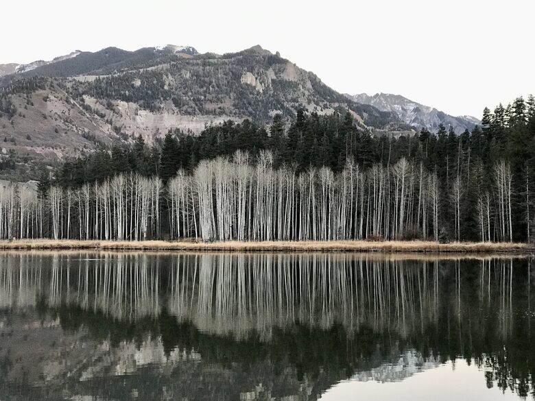 Home Exchange in Ridgway, Colorado