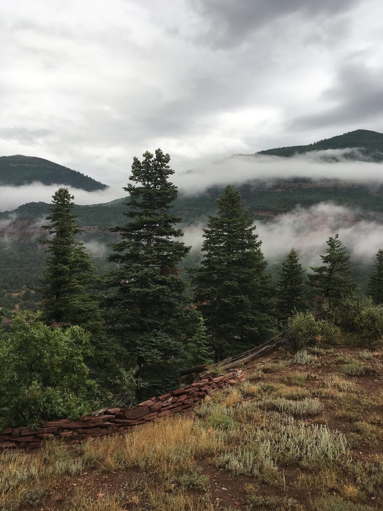 Home Exchange in Ridgway, Colorado