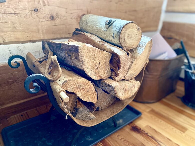 Home Exchange in Ridgway, Colorado