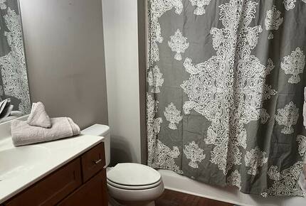 Home Exchange in Louisville, KY