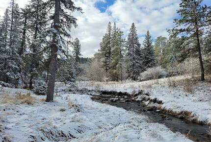 Home Exchange in Lead, SD stunning property