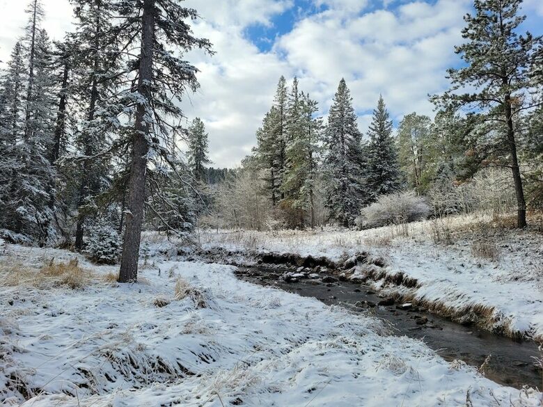 Home Exchange in Lead, SD stunning property