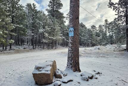 Home Exchange in Lead, SD winter