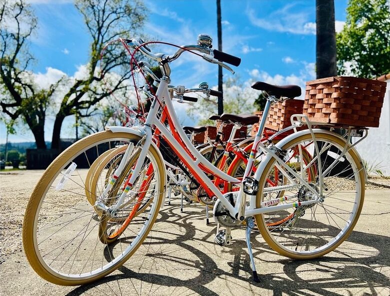 Lavish Healdsburg Home - Walk to Downtown! - Healdsburg, California