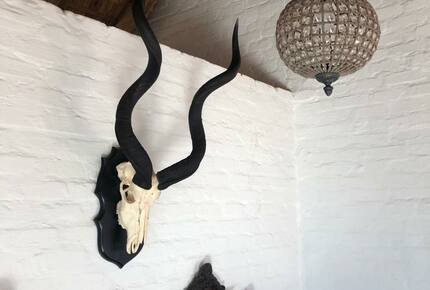 Stylish Bush Camp Close to Kruger National Park - Ba-Phalaborwa NU, South Africa