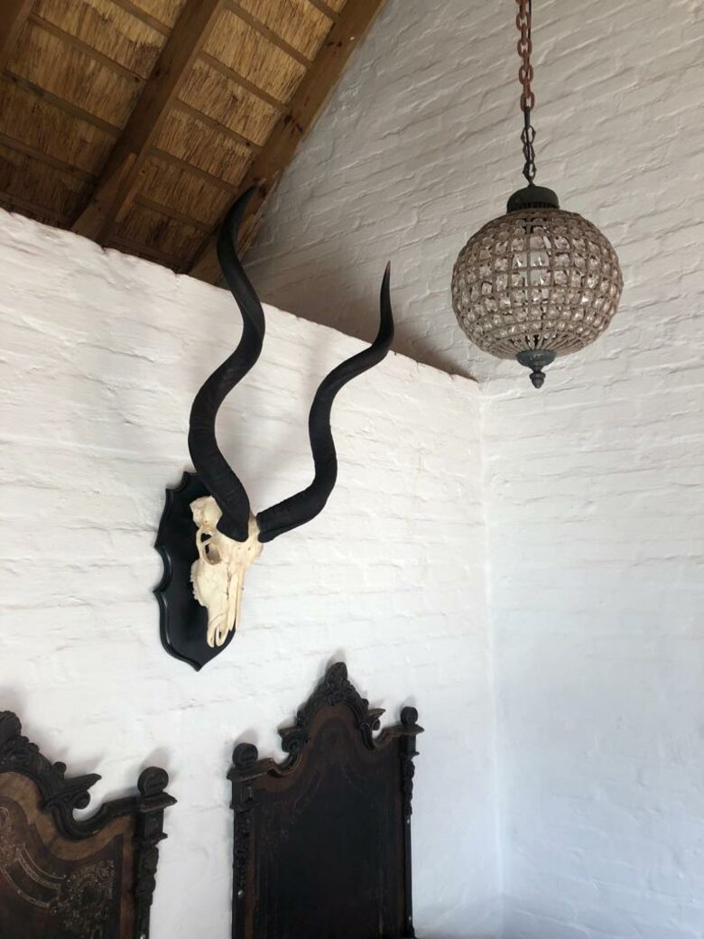 Stylish Bush Camp Close to Kruger National Park - Ba-Phalaborwa NU, South Africa