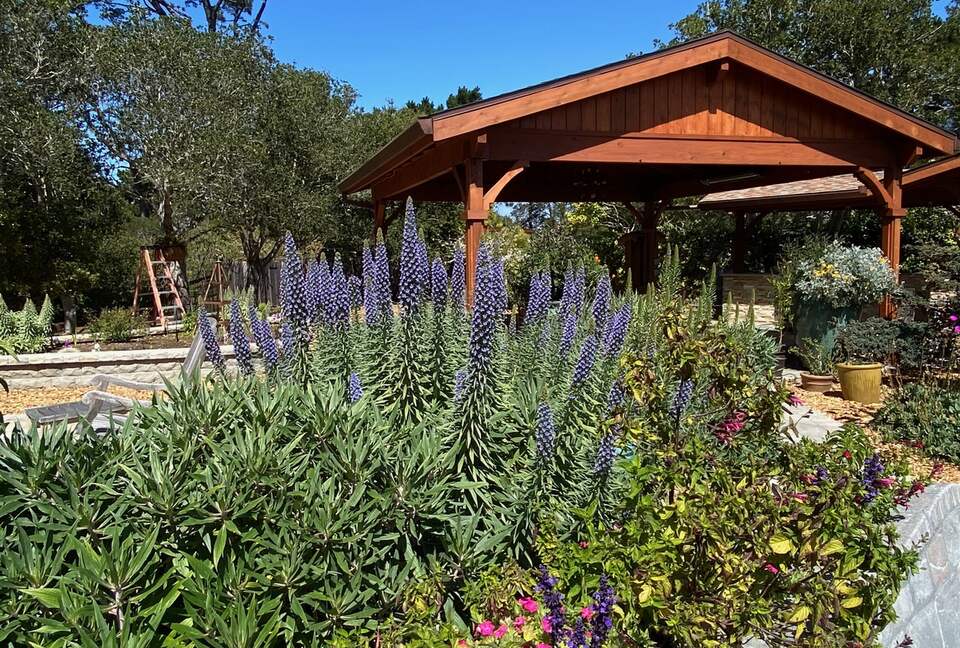 Point B - Monterey, California