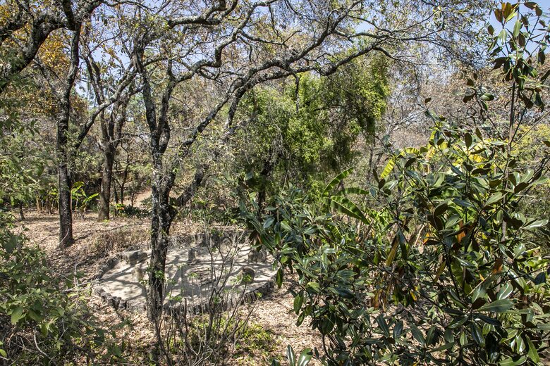 Home Exchange in Santo Tomás Chiconautla, Mexico