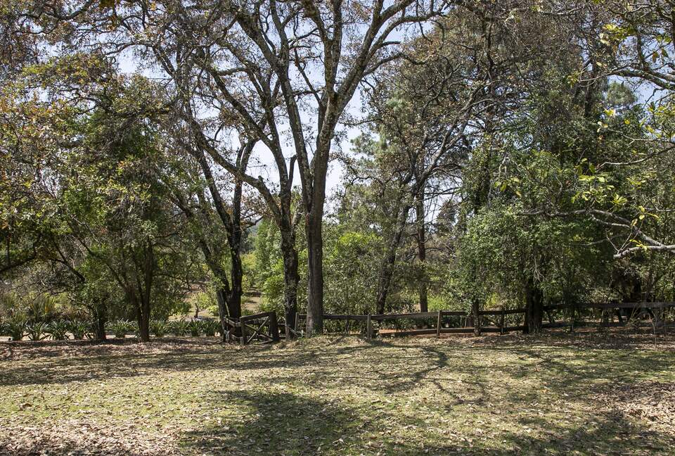 Home Exchange in Santo Tomás Chiconautla, Mexico