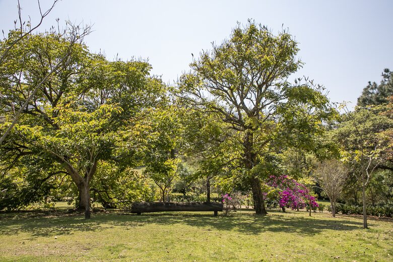 Home Exchange in Santo Tomás Chiconautla, Mexico