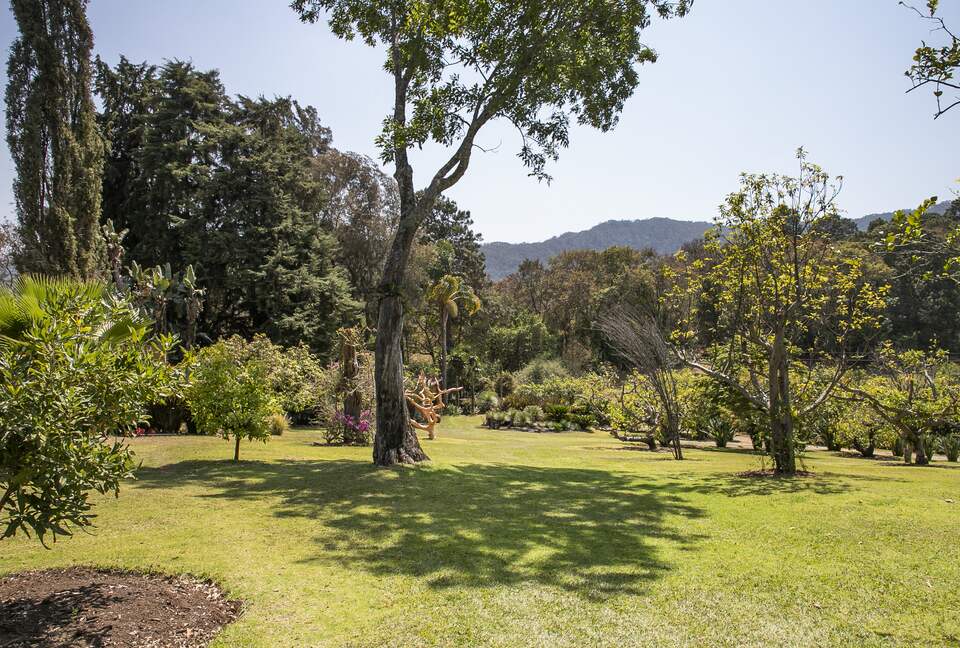 Home Exchange in Santo Tomás Chiconautla, Mexico