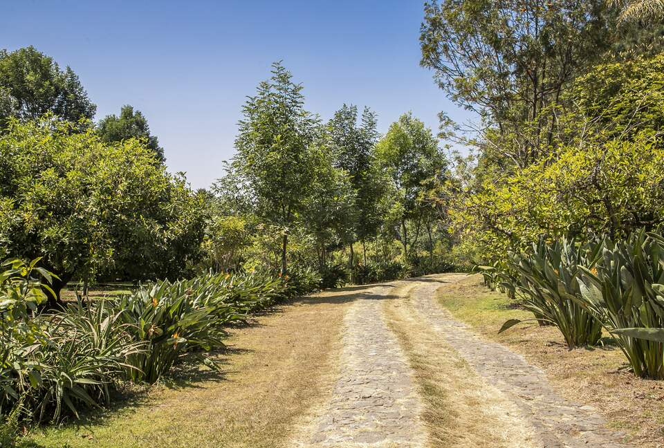Home Exchange in Santo Tomás Chiconautla, Mexico