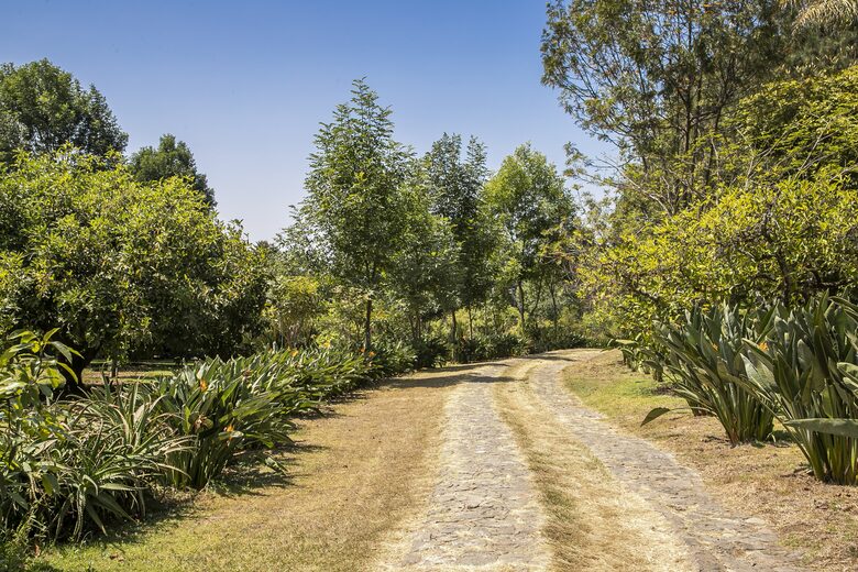 Home Exchange in Santo Tomás Chiconautla, Mexico