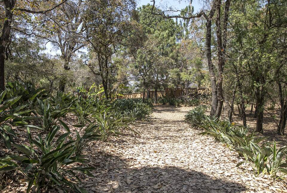 Home Exchange in Santo Tomás Chiconautla, Mexico