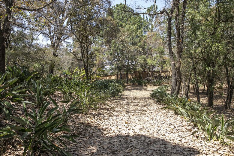 Home Exchange in Santo Tomás Chiconautla, Mexico