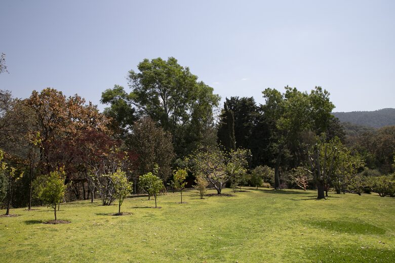 Home Exchange in Santo Tomás Chiconautla, Mexico