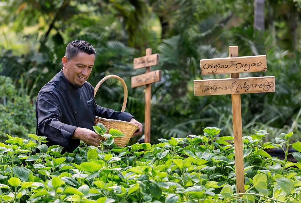 The Fives Beach Hotel & Residences- One Bedroom Unit - Playa del Carmen, Mexico