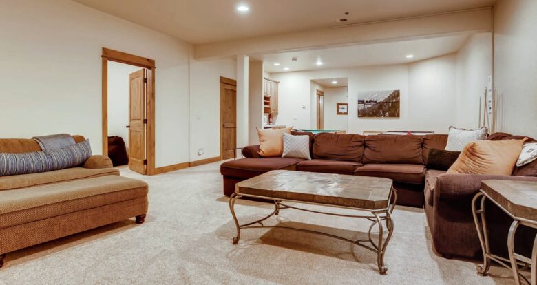 Lower level living room