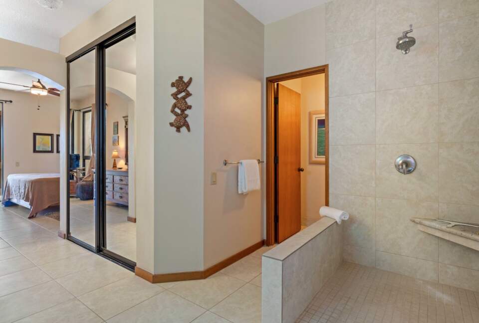 Master bathroom with walk-in shower