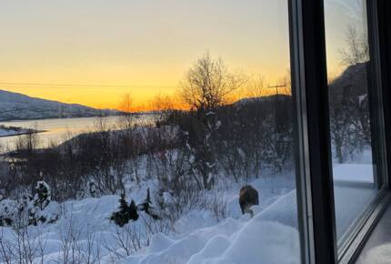 Aurora observatory - Kongsvik, Norway