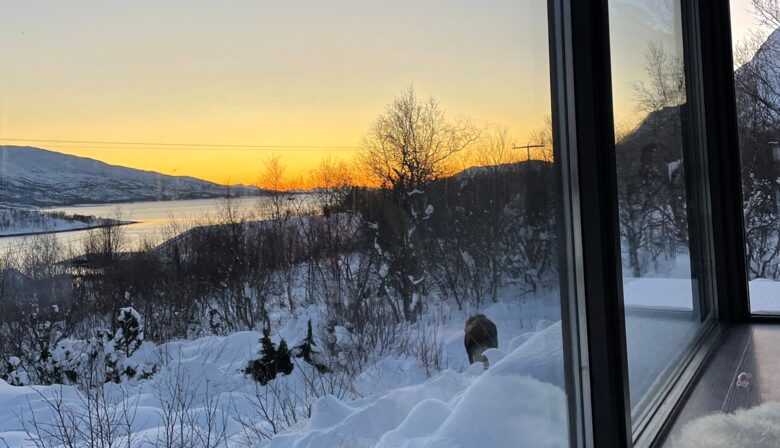 Aurora observatory - Kongsvik, Norway