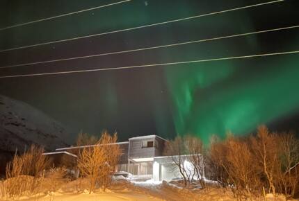 In season the northern lights dance in the sky