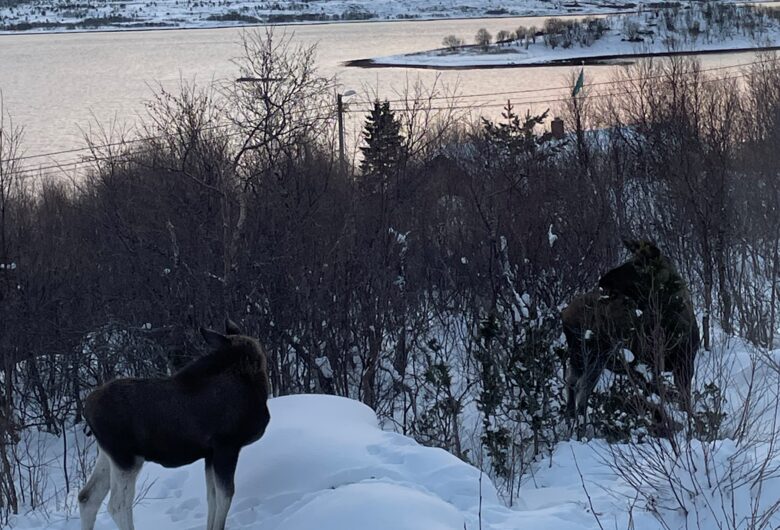 Aurora observatory - Kongsvik, Norway