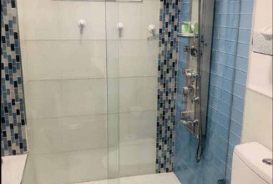 Guest bathroom shower