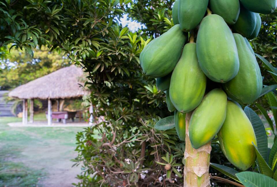 Aruba Villa Tropical - Noord, Aruba