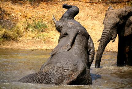 Lubberust Safari Lodge - Tuli Block, Botswana