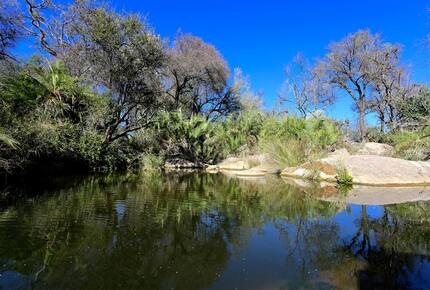 Lubberust Safari Lodge - Tuli Block, Botswana