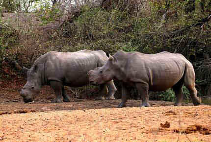 Lubberust Safari Lodge - Tuli Block, Botswana