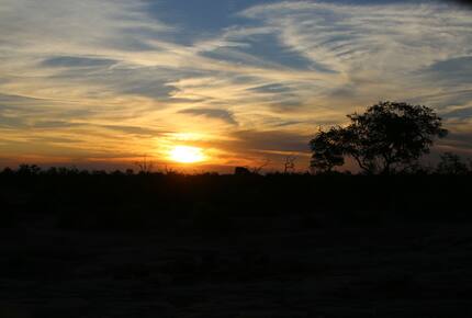 Lubberust Safari Lodge - Tuli Block, Botswana